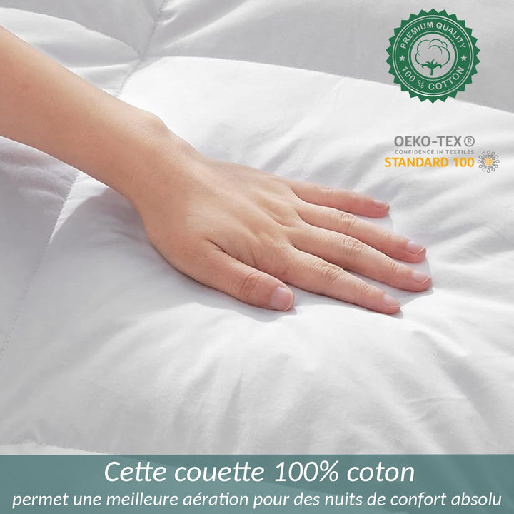 Premium - Couette en duvet haut de gamme 300 g/m²