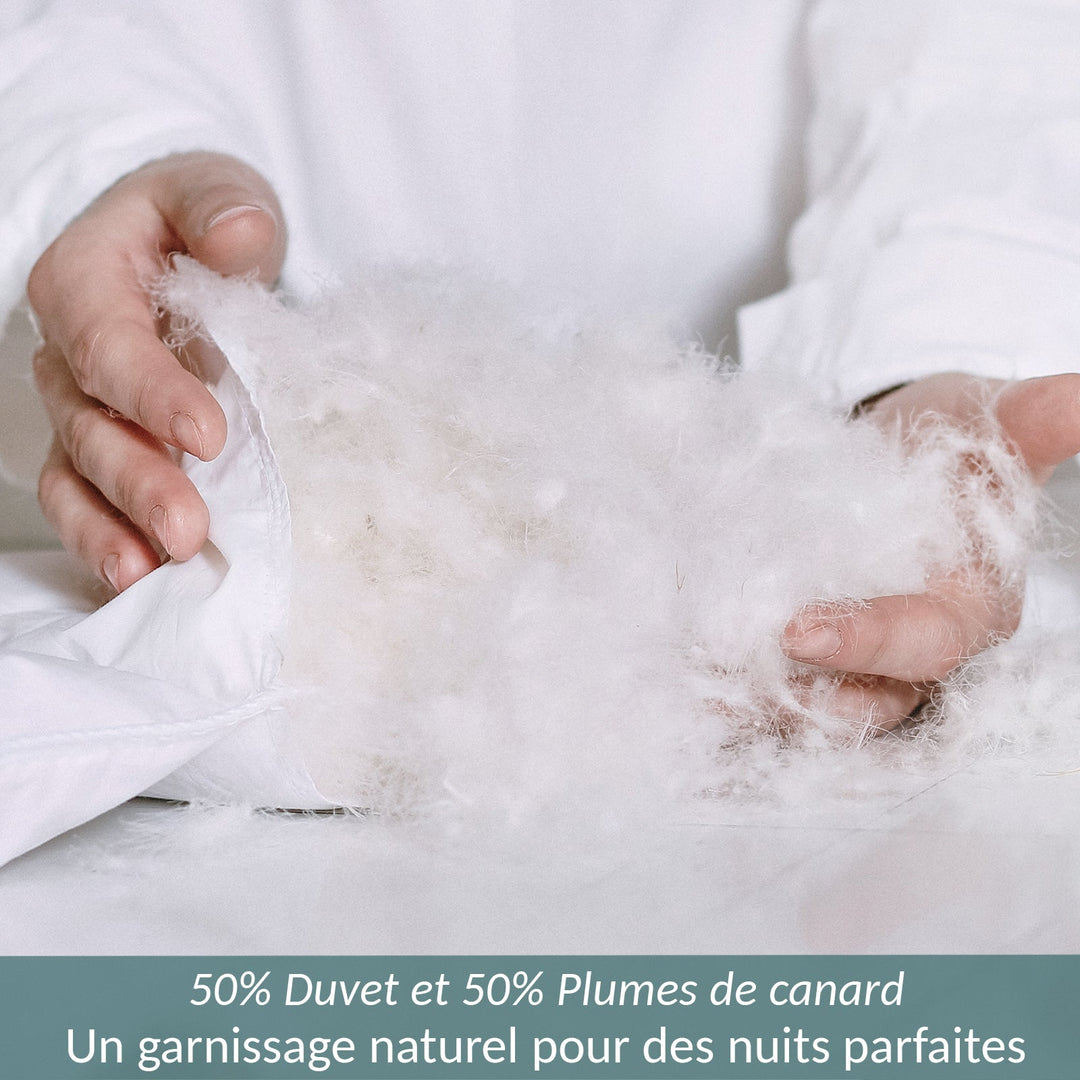 Premium - Couette en duvet haut de gamme 300 g/m²