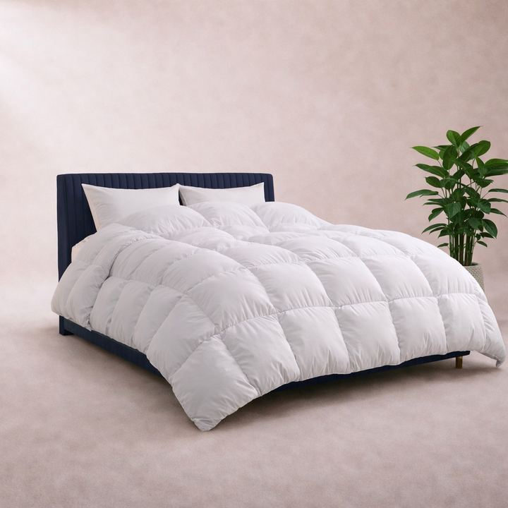 Premium - Couette en duvet haut de gamme 300 g/m²