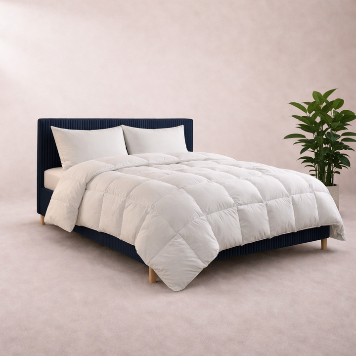 Plume Light - Couette plumes confort printemps/été 200 g/m²