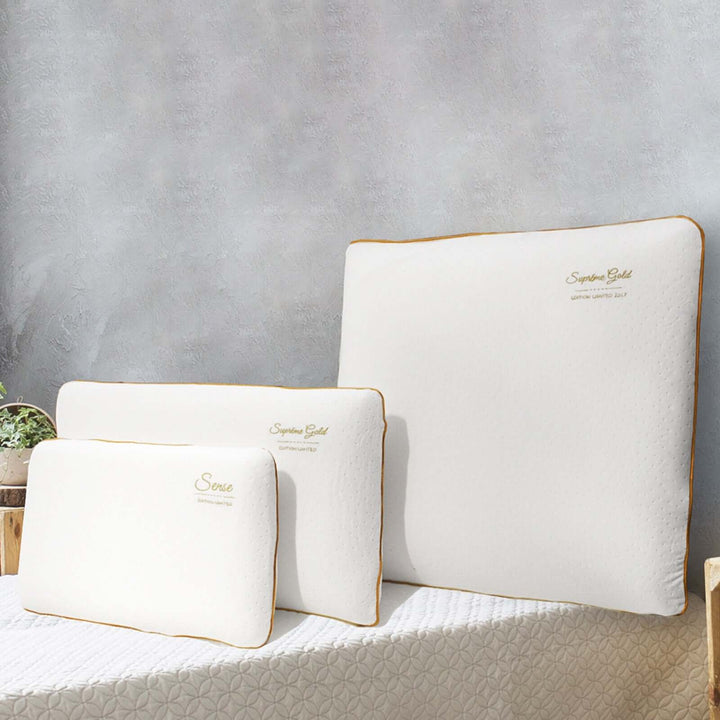 Oreiller Alma Gold - Oreiller ergonomique Mémoire de forme déhoussable 50 kg/m³