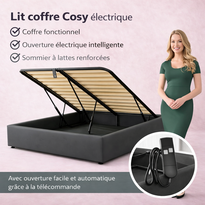 Cosy - Lit coffre électrique et cadre de lit en tissu Gris foncé
